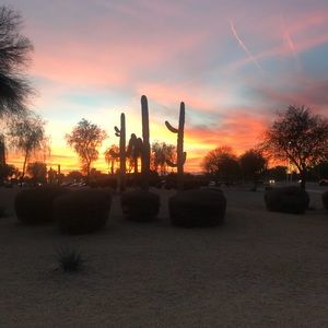 Meet your Posher, Rita